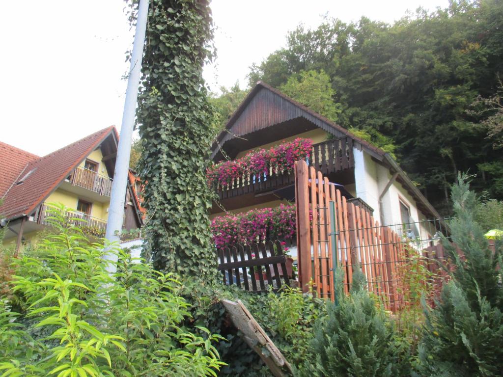 Zahrada ubytování Apartments in Behringersmühle