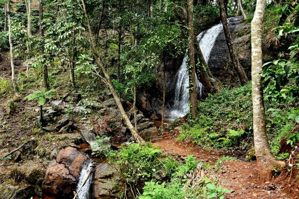 a waterfall in the middle of a forest at Karadikallu Homestay - Private Waterfalls & Guided Trek in Sakleshpur