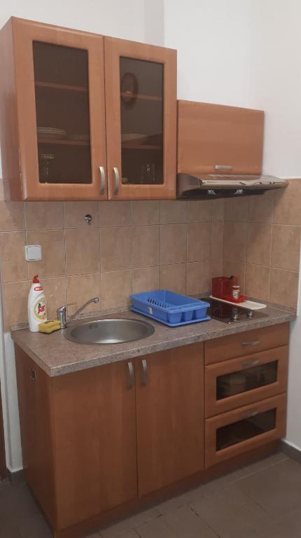 Kuchyň nebo kuchyňský kout v ubytování Apartmány KOS