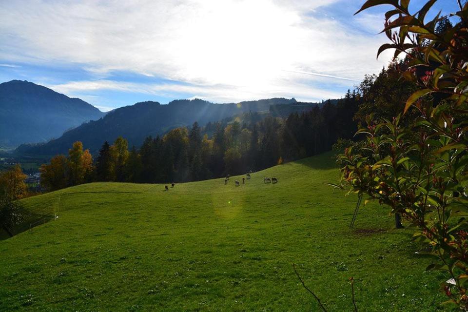 Fotografia z galérie ubytovania Niederstallnhof v destinácii Sankt Johann im Pongau