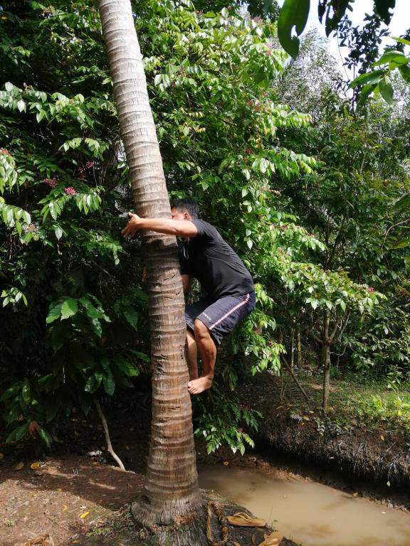 Charming Countryside Homestay - Family Bungalow
