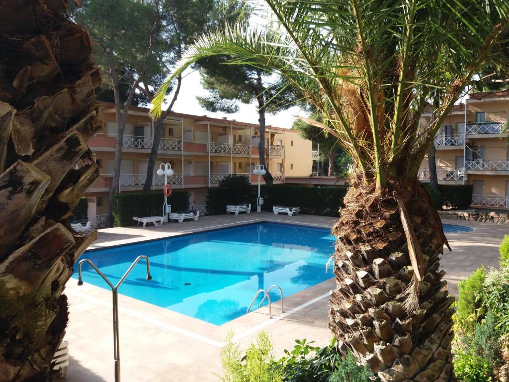 een zwembad tegenover een hotel met een palmboom bij Cala del Pi in Platja  d'Aro