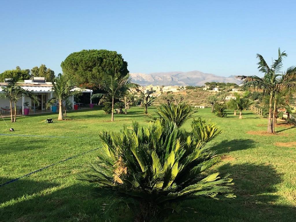 a palm tree in the middle of a field at Petruso Resort in Balestrate