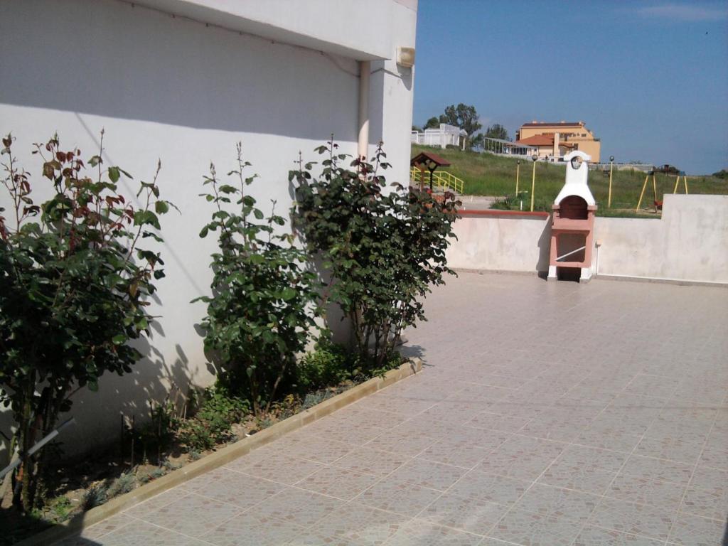 una pared blanca con plantas junto a un patio en Krai Moreto Guest House en Ahtopol
