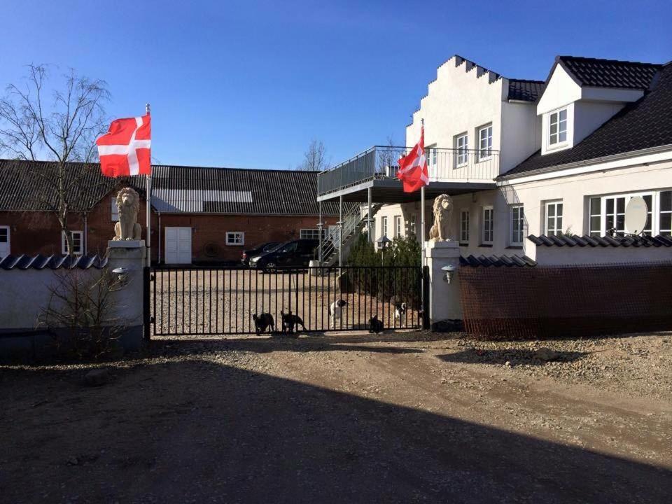 Due gatti seduti dietro una recinzione di fronte a una casa di 103 Hvilestedvej a Fredericia