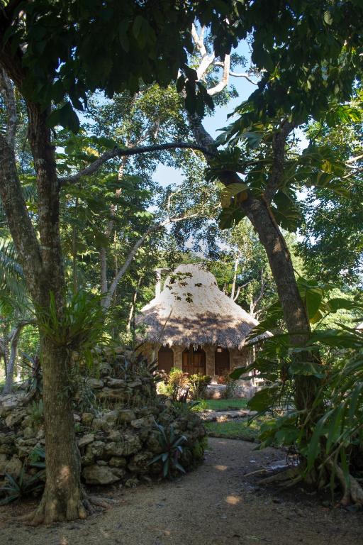 Zahrada ubytování Villas Ecotucan