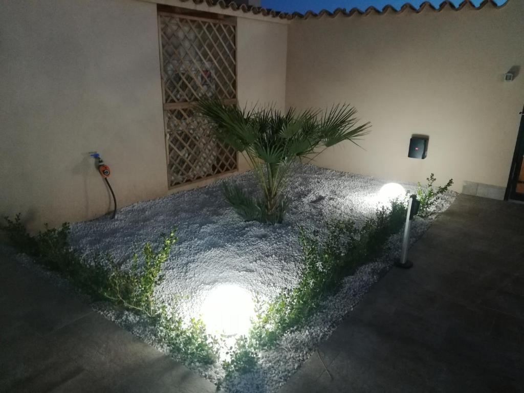 Zahrada ubytování B&b A Due Passi Dal Sole