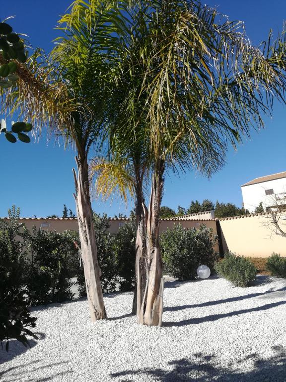 Fotografie z fotogalerie ubytování B&b A Due Passi Dal Sole v destinaci Porto Empedocle