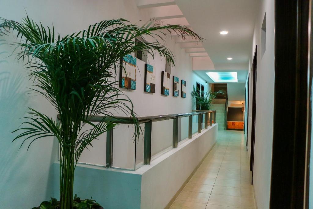 Fotografie z fotogalerie ubytování Playa Linda Hotel v destinaci Progreso