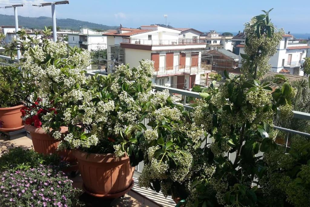 Zahrada ubytování Appartamento o Dépendance - Soluzioni Abitative a Pochi Passi dal Mare