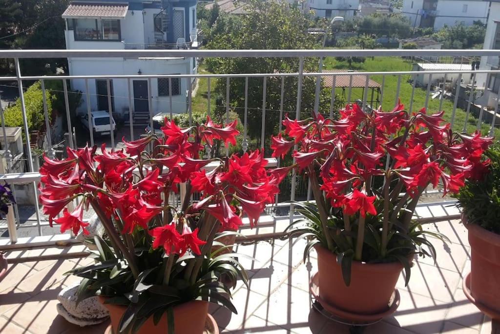 Balkón nebo terasa v ubytování Appartamento o Dépendance - Soluzioni Abitative a Pochi Passi dal Mare