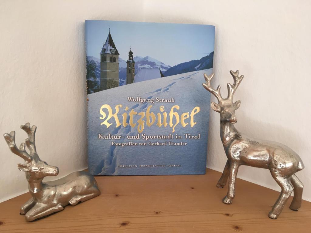 Fotografie z fotogalerie ubytování Apartment Hahnenkammblick v destinaci Reith bei Kitzbühel