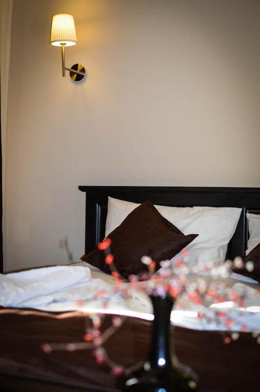 Pensiunea Violeta Rumanien Timisoara Booking Com