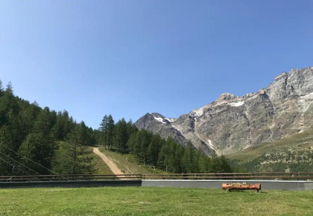 un cavallo in un campo con montagne sullo sfondo di Cervinia Ski In Ski Out - Studio on the slopes a Breuil-Cervinia