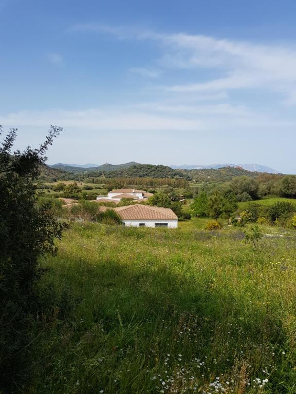 a field of green grass with a house in the background at Hotel Baia Cea in Bari Sardo