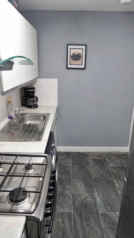 Kuchyň nebo kuchyňský kout v ubytování North London Apartment - Edmonton