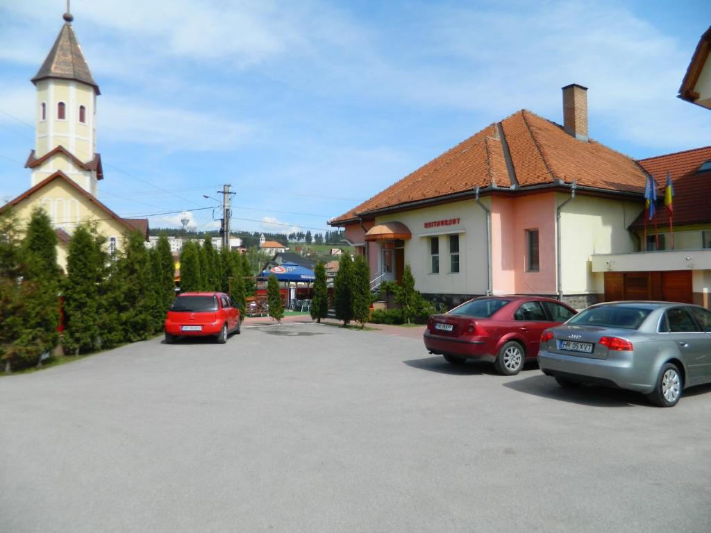 Fotografie z fotogalerie ubytování Hotel Mures v destinaci Topliţa