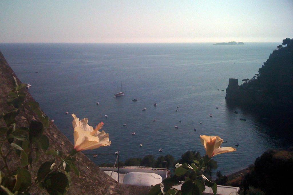 Casa Giardino Campania photo 2