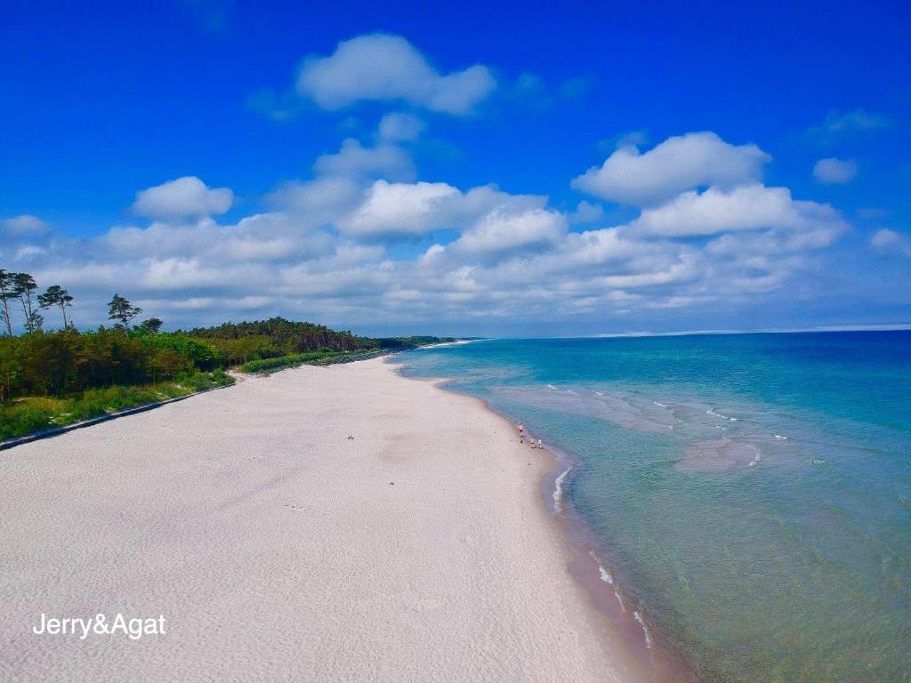 Jerry Apartment - 15