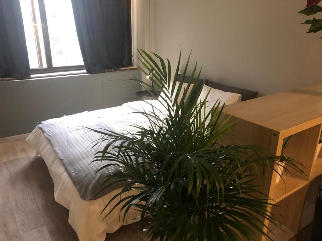 a bedroom with a bed with a table and a plant at DISTRiCT 01-Luxury Urban Lofts in Thessaloniki