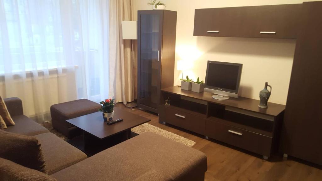 sala de estar con sofá y TV de pantalla plana en Apartamentai Dainų II, en Šiauliai