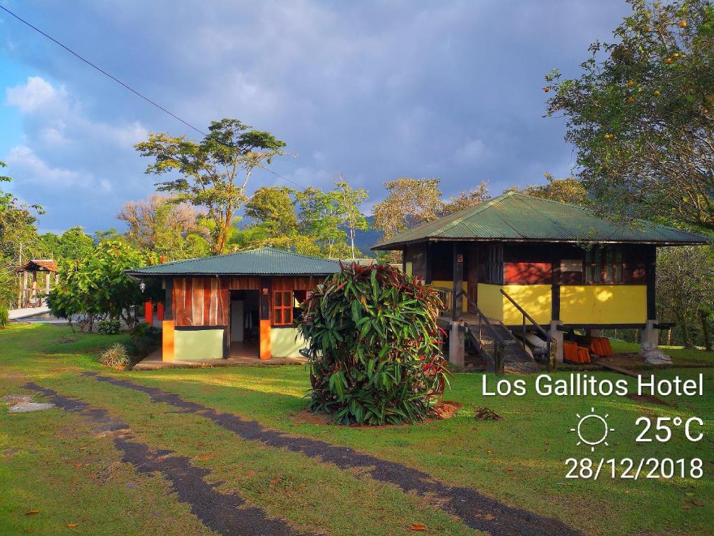 Los Gallitos Eco Lodge - Viervoudige Kamer Met Uitzicht Op De Tuin