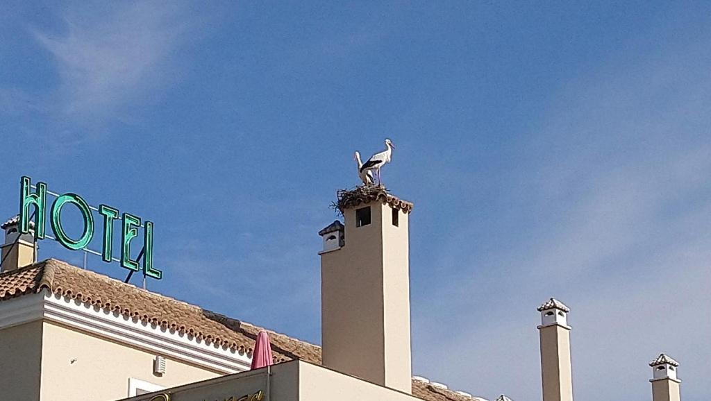 a building with a bird on the top of it at Hotel Las Canteras de Puerto Real in Puerto Real