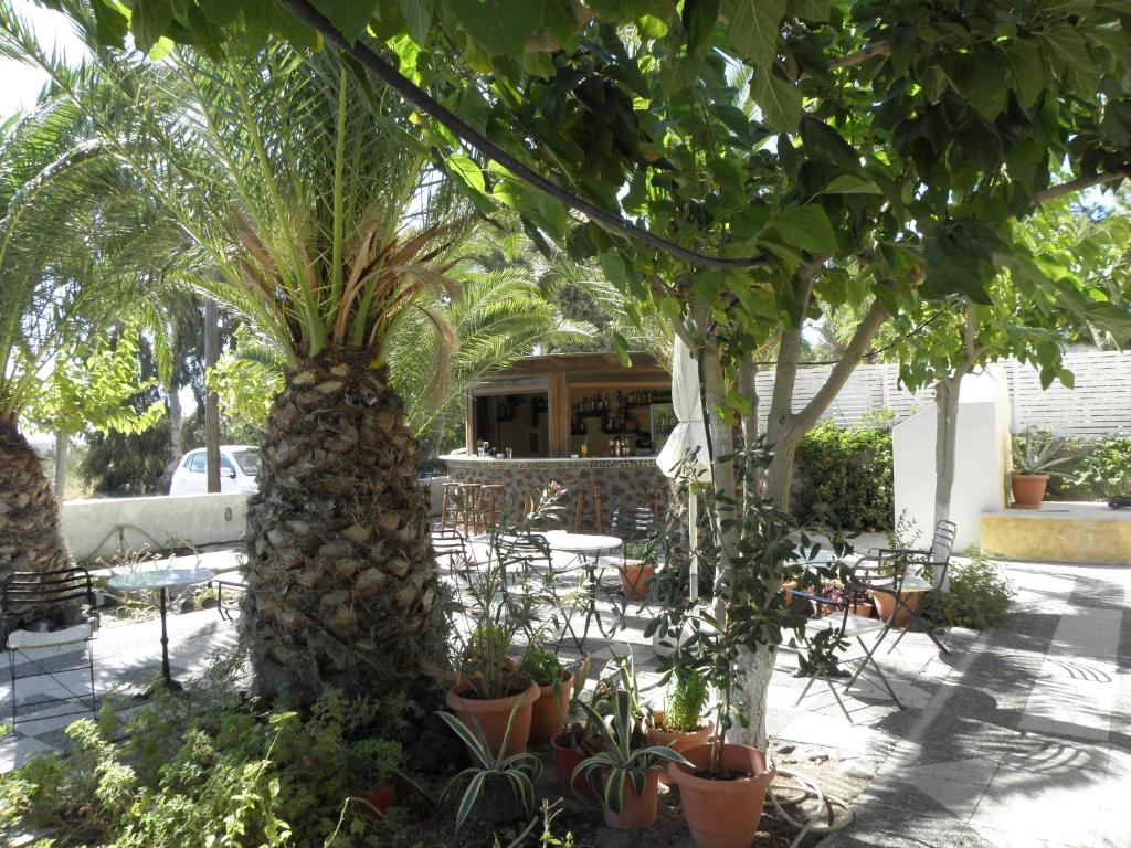 Zahrada ubytování Areti Hotel