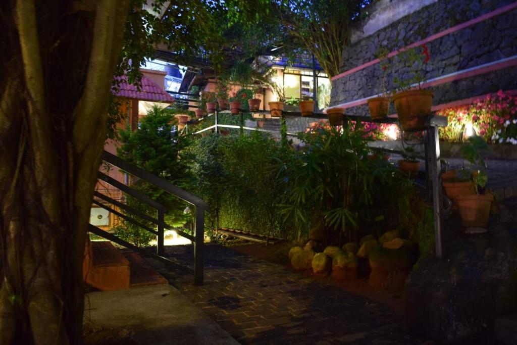 a group of potted plants on the side of a building at Shamrock Holiday Home in Munnar