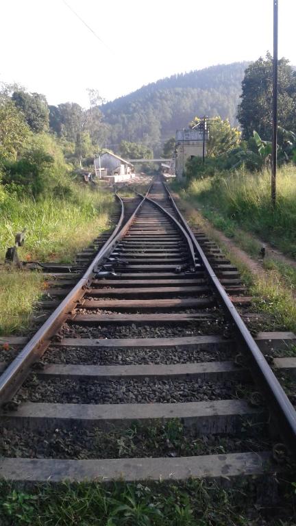Příroda nedaleko ubytování v soukromí