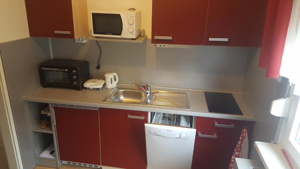 Kuchyň nebo kuchyňský kout v ubytování Apartma Sebastjan Dobova near Terme Paradiso
