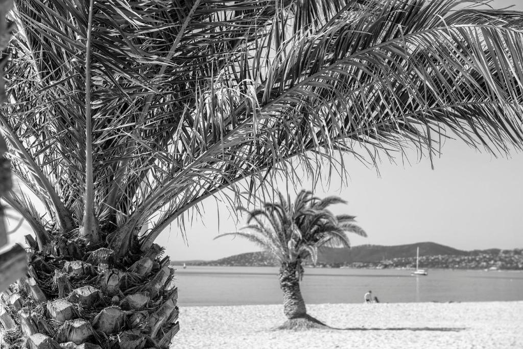 Marina サン ラファエル 21年 最新料金