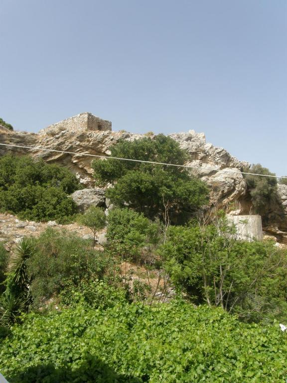 a rocky hill with trees and bushes on it at Megim Hotel in Palaiochora