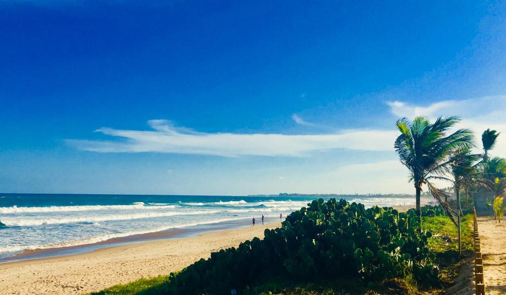  Deluxe Cupe Beach Living