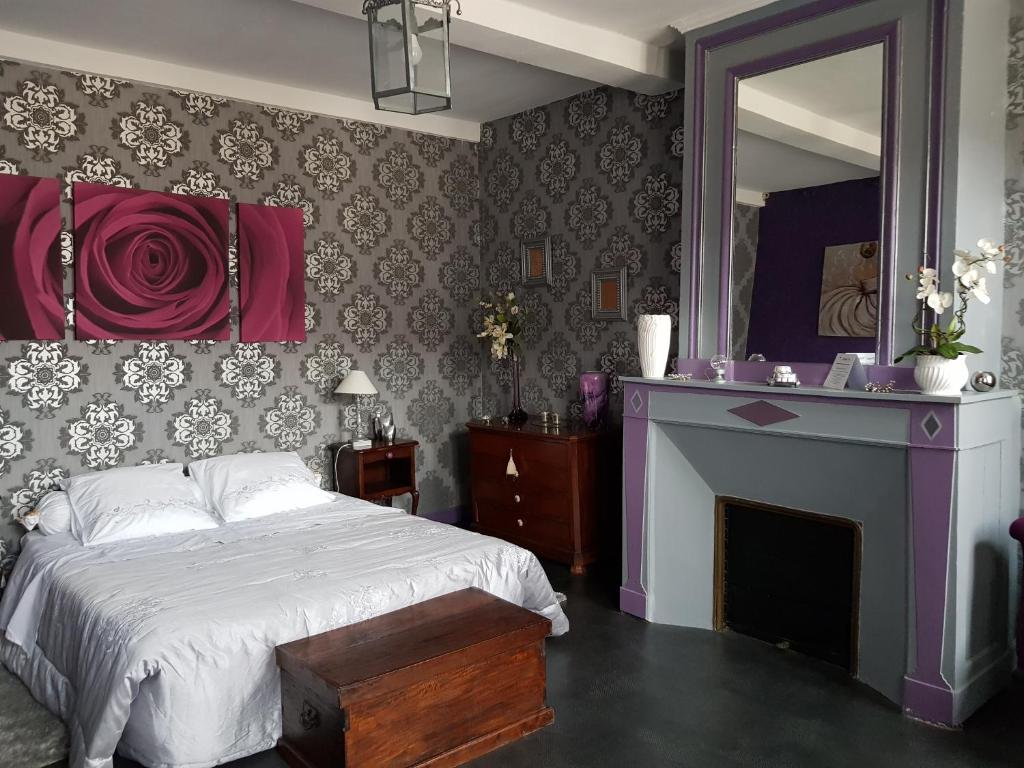 a bedroom with a bed with a fireplace and a mirror at Chambres d'Hôtes La Toast Vin in Saint-Sever