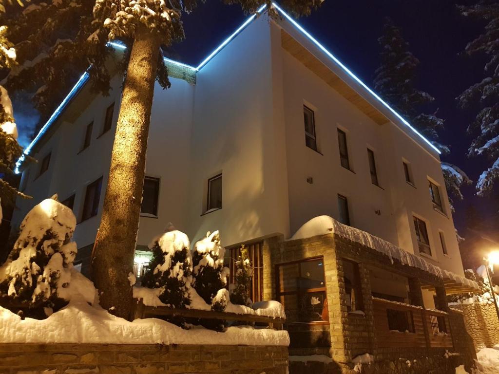 a snow covered building with a palm tree in front of it at Marušić Apartments in Vlasic