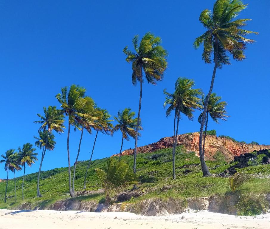  Casa Beira Mar