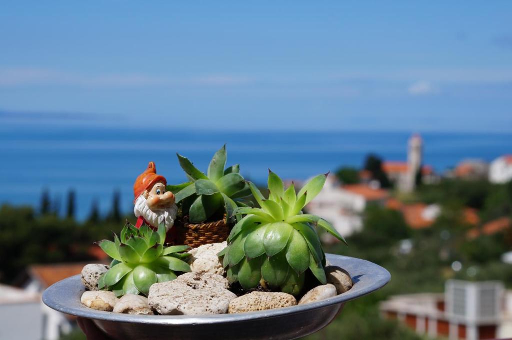 een kom gevuld met planten op de top bij Apartments Mateljak in Gradac