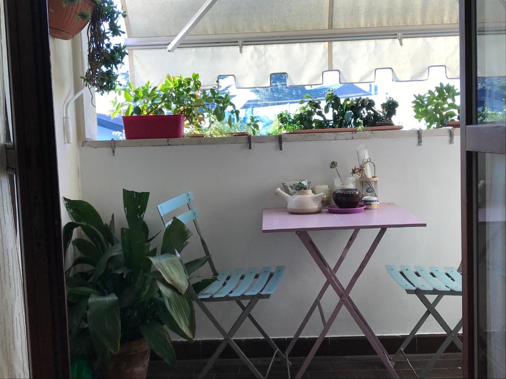 A balcony or terrace at Cosy Flat