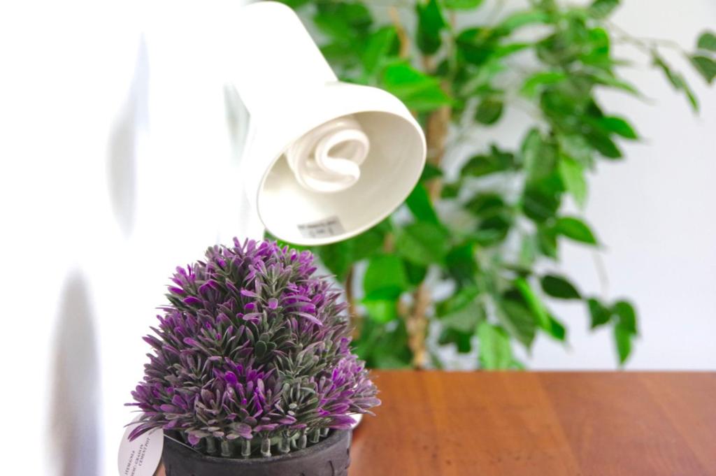 Hamilton East Homestay - Resim 19