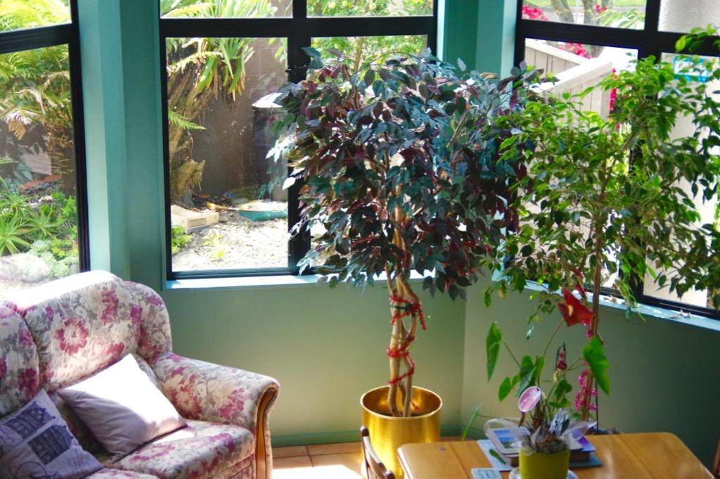 Zahrada ubytování Hamilton East Homestay