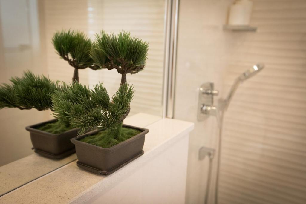 Studios & Apartments Porto - 14