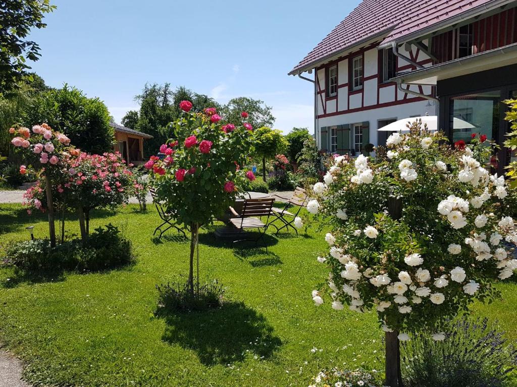 a group of flowers in a yard next to a house at Landgut Apfelrose in Friedrichshafen