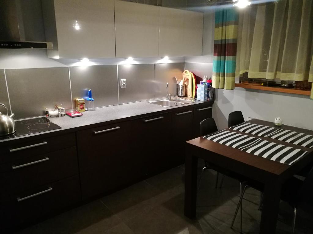 a kitchen with a sink and a table in it at Salt Mine Apartment 64m2 in Wieliczka