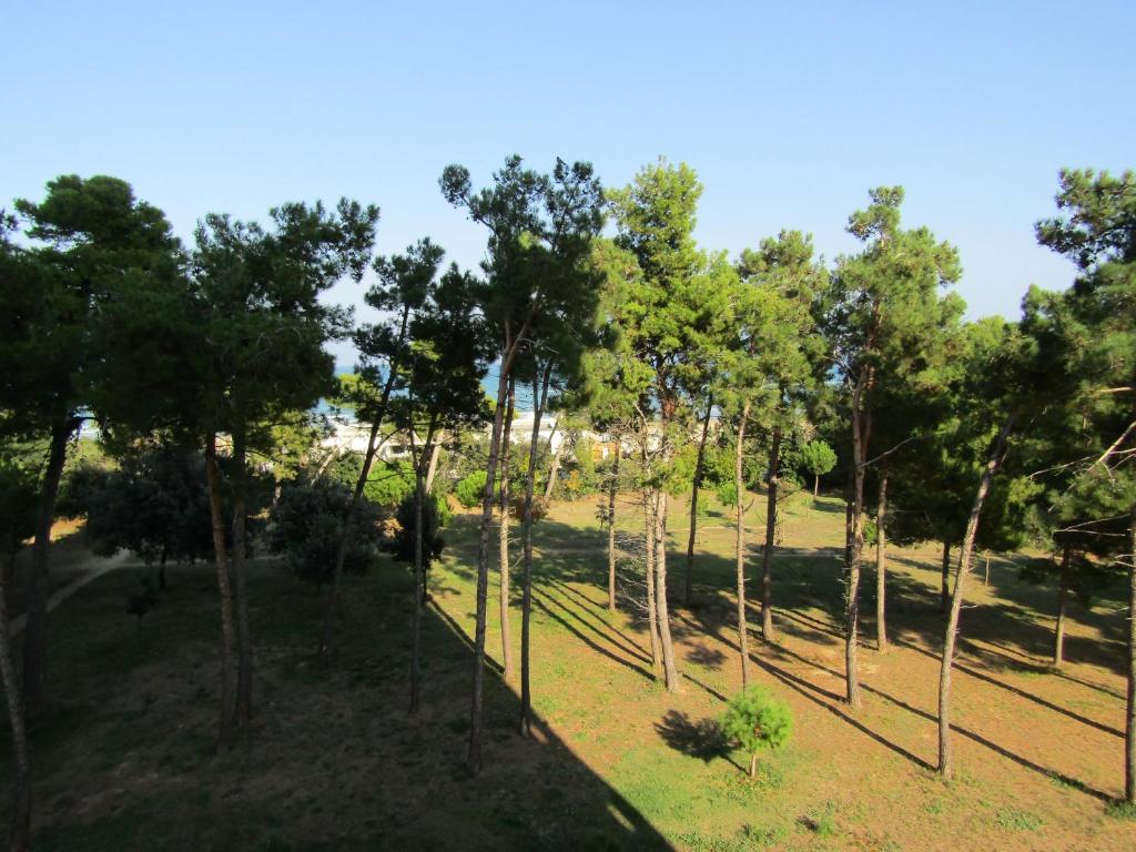 um grupo de árvores em um campo com um fundo de céu em Casamare Royal em Montesilvano Marina