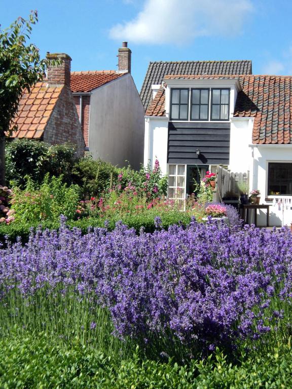 a garden with purple flowers in front of a house at Duinstraat 10 in Domburg