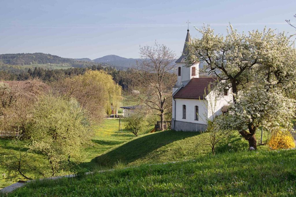 een oude witte kerk op een heuvel met bomen bij Willi's Bauernhof in Leiben