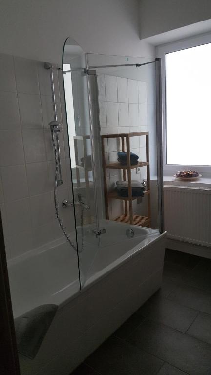 Ferienwohnung oder Studio Dresden-Neustadt inkl Parkplatz mit Balkon oder Terrasse - 16