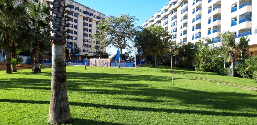 Zahrada ubytování PATACONA MARE NOSTRUM APARTMENT