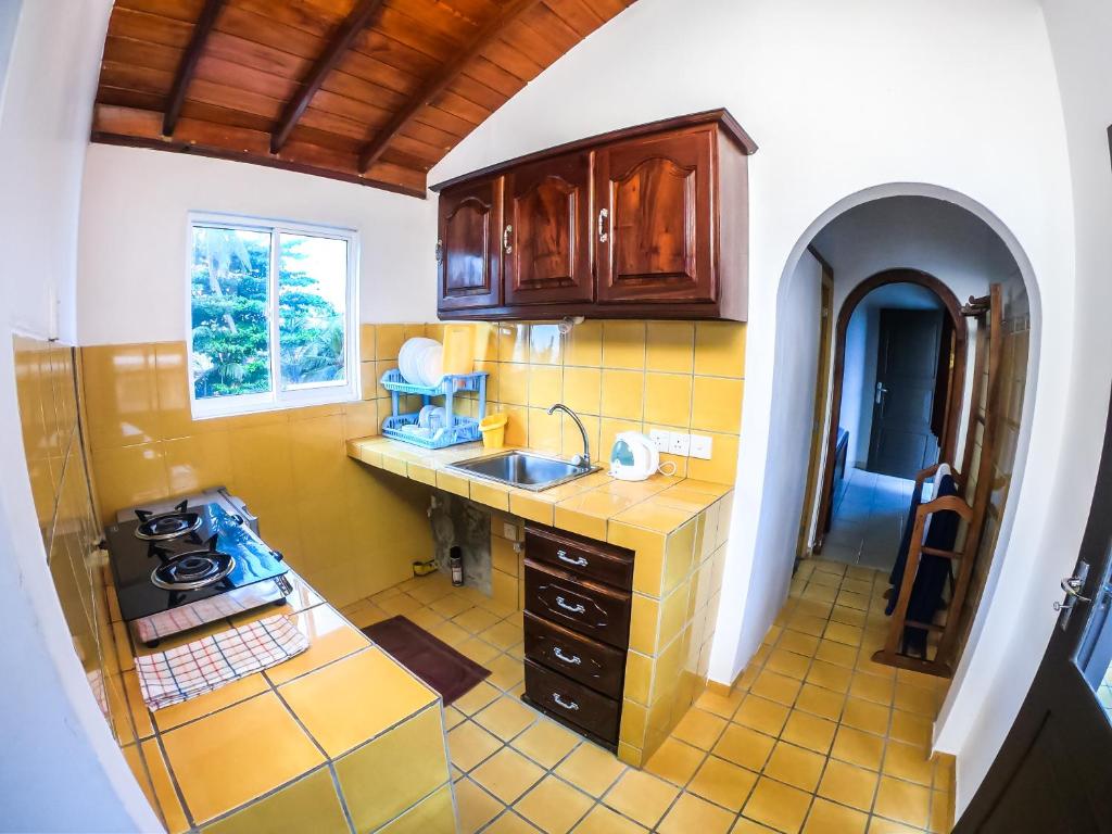 Dapur atau dapur kecil di Hotel Apollo